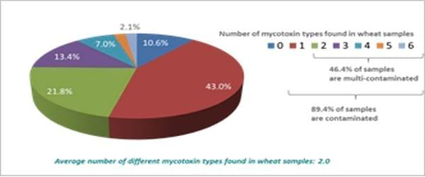 Pancosma & Associates’ 2015 survey: threat of multi-mycotoxin contamination - Image 3