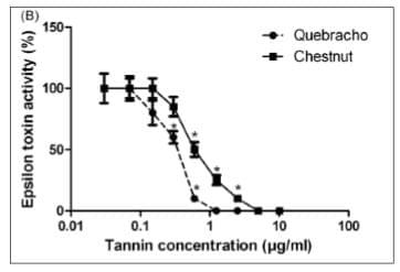 Use of Plant Extracts Rich in Tannic Acid and Polyphenols as Enhancing Agents of Poultry Intestinal Quality - Image 3