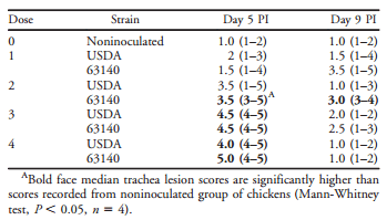 Infection of Broilers with Two Virulent Strains of Infectious Laryngotracheitis Virus: Criteria for Evaluation of Experimental Infections - Image 4