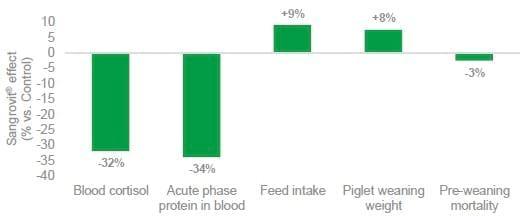 Supporting sows during transition to optimize milk yield - Image 1