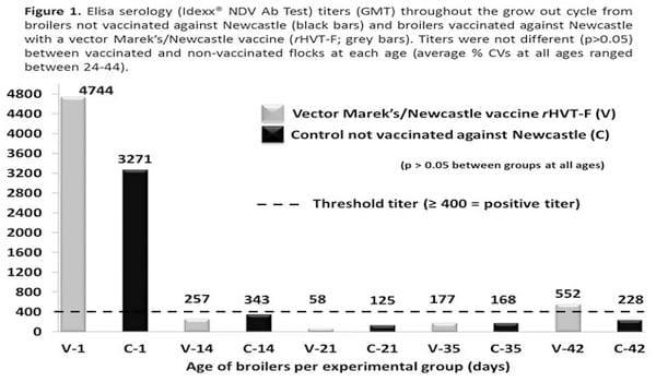 Safety and efficacy of a vector Marek’s/Newcastle vaccine (rHVT-F) applied to broilers reared in non-vaccinating and velogenic Newcastle Disease virus (NDV)-free poultry production systems - Image 1