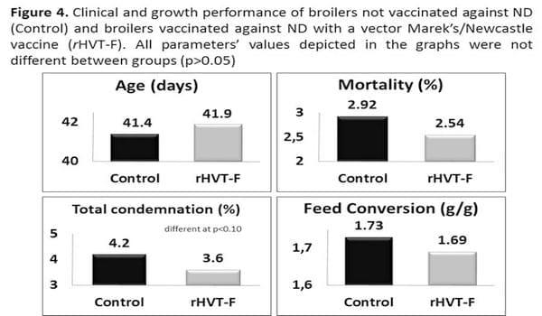 Safety and efficacy of a vector Marek’s/Newcastle vaccine (rHVT-F) applied to broilers reared in non-vaccinating and velogenic Newcastle Disease virus (NDV)-free poultry production systems - Image 4