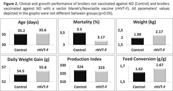Safety and efficacy of a vector Marek’s/Newcastle vaccine (rHVT-F) applied to broilers reared in non-vaccinating and velogenic Newcastle Disease virus (NDV)-free poultry production systems - Image 2
