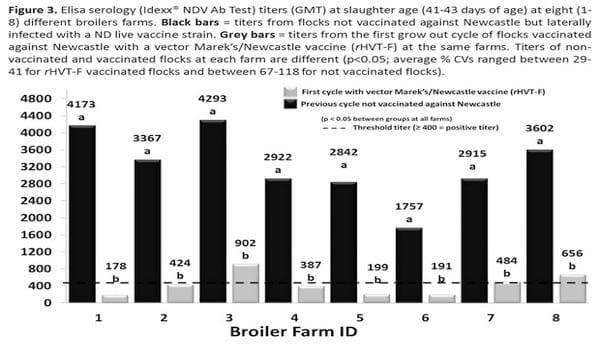 Safety and efficacy of a vector Marek’s/Newcastle vaccine (rHVT-F) applied to broilers reared in non-vaccinating and velogenic Newcastle Disease virus (NDV)-free poultry production systems - Image 3