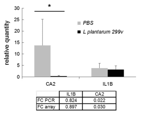 Oral administration of Lactobacillus plantarum 299v modulates gene expression in the ileum of pigs: prediction of crosstalk between intestinal immune cells and sub-mucosal adipocytes - Image 2
