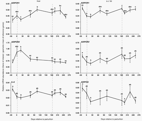 Longitudinal Profiling of the Tissue-Specific Expression of Genes Related with Insulin Sensitivity in Dairy Cows during Lactation Focusing on Different Fat Depots - Image 2