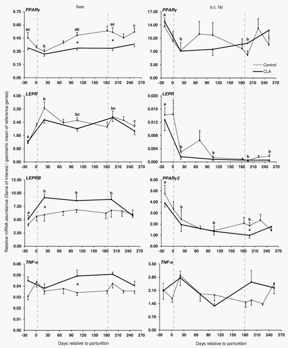 Longitudinal Profiling of the Tissue-Specific Expression of Genes Related with Insulin Sensitivity in Dairy Cows during Lactation Focusing on Different Fat Depots - Image 4
