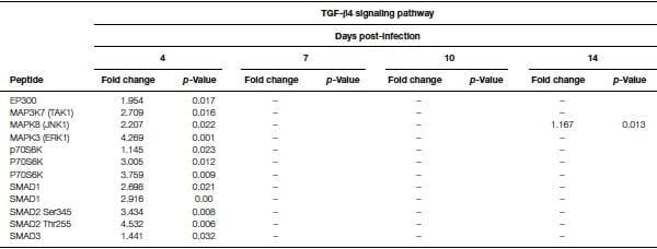 A role for the non-canonical Wnt-ß-Catenin and TGF-ß signaling pathways in the induction of tolerance during the establishment of a Salmonella enterica serovar Enteritidis persistent cecal infection in chickens - Image 7