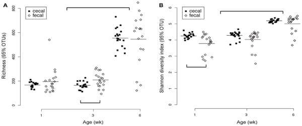 Spatial and Temporal Changes in the Broiler Chicken Cecal and Fecal Microbiomes and Correlations of Bacterial Taxa with Cytokine Gene Expression - Image 8
