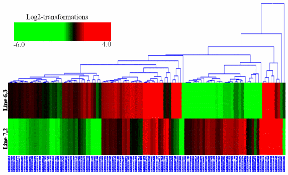 RNA-seq Profiles of Immune Related Genes in the Spleen of Necrotic Enteritis-afflicted Chicken Lines - Image 7