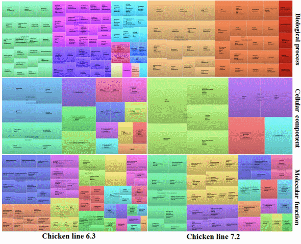 RNA-seq Profiles of Immune Related Genes in the Spleen of Necrotic Enteritis-afflicted Chicken Lines - Image 4