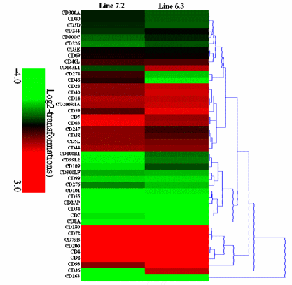 RNA-seq Profiles of Immune Related Genes in the Spleen of Necrotic Enteritis-afflicted Chicken Lines - Image 10