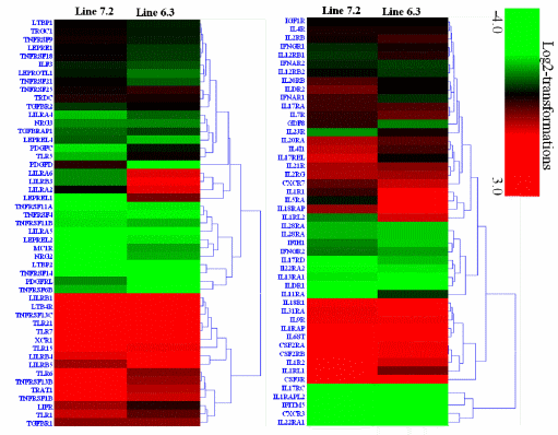 RNA-seq Profiles of Immune Related Genes in the Spleen of Necrotic Enteritis-afflicted Chicken Lines - Image 9