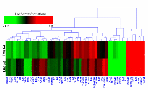 RNA-seq Profiles of Immune Related Genes in the Spleen of Necrotic Enteritis-afflicted Chicken Lines - Image 8