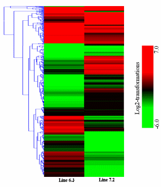 RNA-seq Profiles of Immune Related Genes in the Spleen of Necrotic Enteritis-afflicted Chicken Lines - Image 5