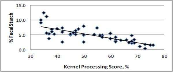 Effect of corn silage kernel processing score on dairy cow starch digestibility - Image 2