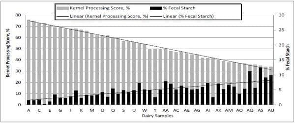Effect of corn silage kernel processing score on dairy cow starch digestibility - Image 1