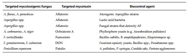 Biological control strategies of mycotoxigenic fungi and associated mycotoxins in Mediterranean basin crops - Image 1