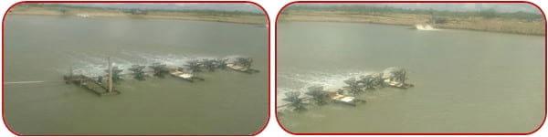 Management Practice of Vannamei Shrimp culture ponds with High Stocking Density & Zero Water Exchange in Purba Medinapur Dist.of W.Bengal, India, in relation to Growth, Survivals and Water quality - Image 5