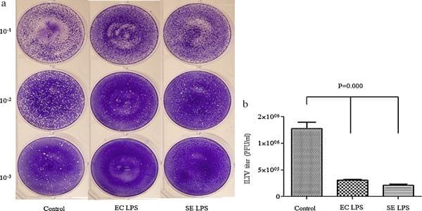 Induction of Toll-like receptor 4 signaling in avian macrophages inhibits infectious laryngotracheitis virus replication in a nitric oxide dependent way - Image 2