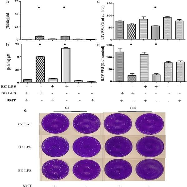 Induction of Toll-like receptor 4 signaling in avian macrophages inhibits infectious laryngotracheitis virus replication in a nitric oxide dependent way - Image 3