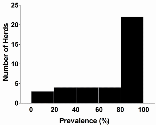 Prevalence and Characterization of Staphylococcus aureus in Growing Pigs in the USA - Image 2