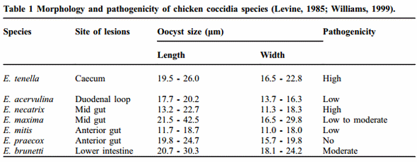 Botanical supplements as anti-coccidial alternatives in poultry nutrition - Image 1