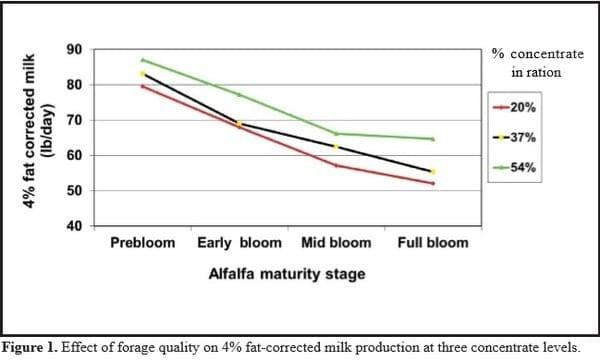 On-Farm Assessment of Forage Quality - Image 2