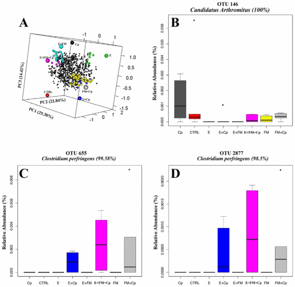 Differential Responses of Cecal Microbiota to Fishmeal, Eimeria and Clostridium perfringens in a Necrotic Enteritis Challenge Model in Chickens - Image 7