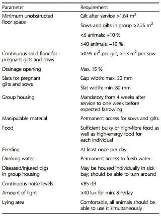 Impact of group housing of pregnant sows on health - Image 1