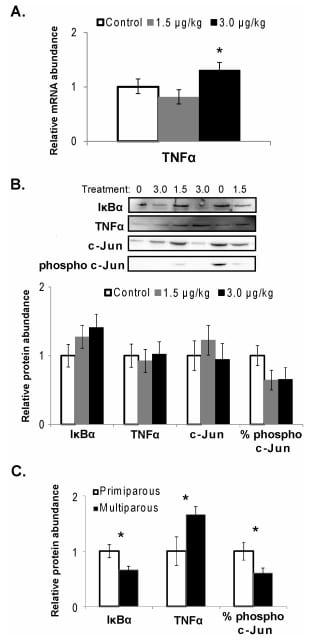 TNFa Altered Inflammatory Responses, Impaired Health and Productivity, but Did Not Affect Glucose or Lipid Metabolism in Early-Lactation Dairy Cows - Image 7