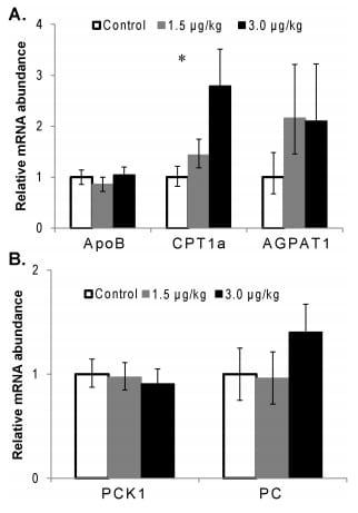TNFa Altered Inflammatory Responses, Impaired Health and Productivity, but Did Not Affect Glucose or Lipid Metabolism in Early-Lactation Dairy Cows - Image 10