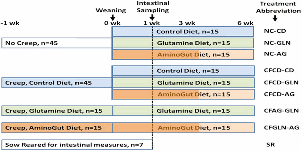 Effects of creep feeding and supplemental glutamine or glutamine plus glutamate (Aminogut) on pre- and post-weaning growth performance and intestinal health of piglets - Image 1