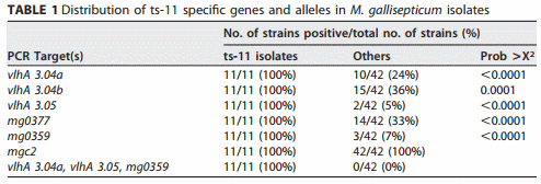 Identification of Strain-Specific Sequences That Distinguish a Mycoplasma gallisepticum Vaccine Strain from Field Isolates - Image 5