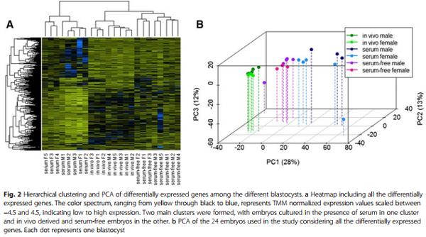Suboptimal culture conditions induce more deviations in gene expression in male than female bovine blastocysts - Image 3