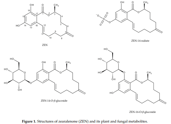 Metabolism of Zearalenone and Its Major Modified Forms in Pigs - Image 1