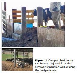 Compost Bedded Pack Barn Design. Features and Management Considerations - Image 15