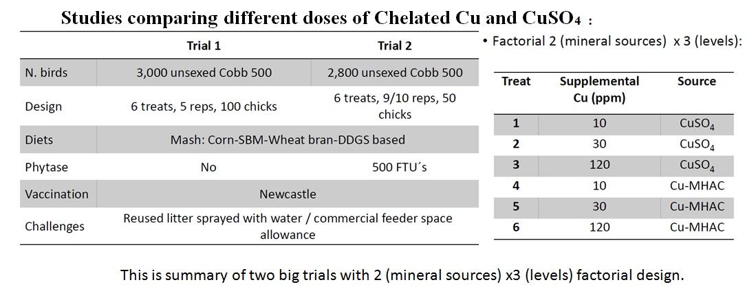 Benefits of Chelated Copper in Poultry Diet - Image 6