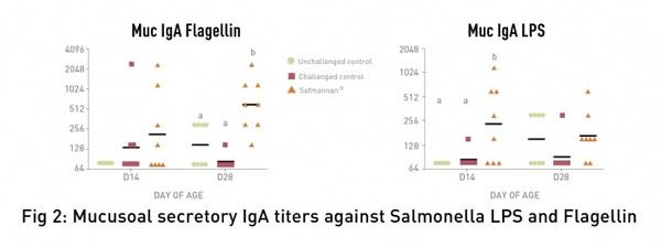 Prevent Salmonella from undermining food safety - Image 4