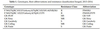 Methodical Considerations and Resistance Evaluation against Fusarium graminearum and F. culmorum Head Blight in Wheat. Part 3. Susceptibility Window and Resistance Expression - Image 1