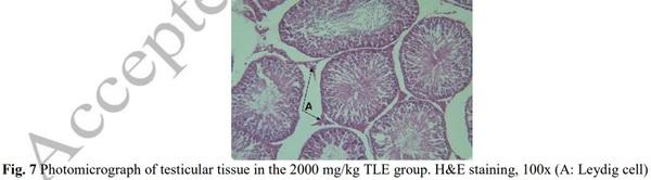 Evaluation of Sperm Parameters, Reproductive Hormones, Histological Criteria, and Testicular Spermatogenesis Using Turnip Leaf (Brassica Rapa) Hydroalcoholic Extract in Male Rats: An Experimental Study - Image 10