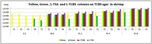 Fig 4: Vibrio colonies measured on TSA and TCBS media in shrimp bodies. The results of sampling for each tank at four stages, zoea 2, mysis 2, and postlarvae 1, 4 and 8, are described in yellow (non-pathogenic) and green (pathogenic), and total bacteria counts on TSA agar and total Vibrio counts on TCBS agar are shown.