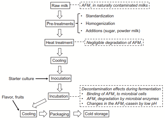 Figure 1. General processing flow chart of fermented milk and relevant steps regarding the aflatoxin M1 (AFM1 ) contamination during manufacture (in italic).