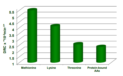 Fig. 2. The digestion rate constants (DRC × 10−2 min−1 ) of methionine, lysine, threonine and the mean of 13 proteinbound amino acids in broiler chickens offered sorghum-based diets; adapted from Liu et al. [77].
