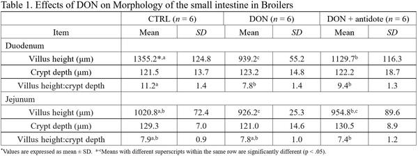 Impact of DON on broiler gut health - Image 2