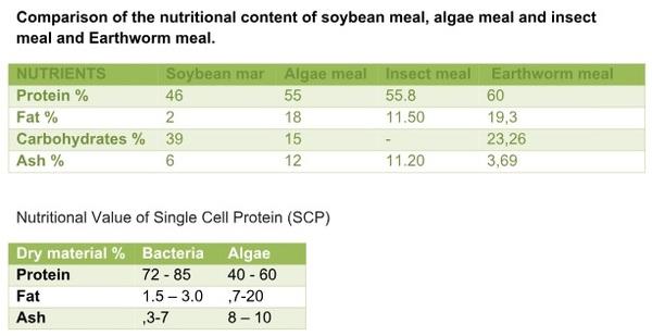 Animal Nutrition, A Modern Approach - Image 11