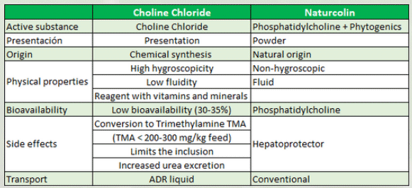 How to meet the needs of choline in an efficient and cost-effective way - Image 1