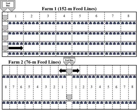 Effects of pellet quality to on-farm nutrient segregation in commercial broiler houses varying in feed line length - Image 1