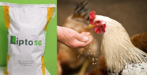 The Importance of binder agents in Animal Nutrition - Image 1