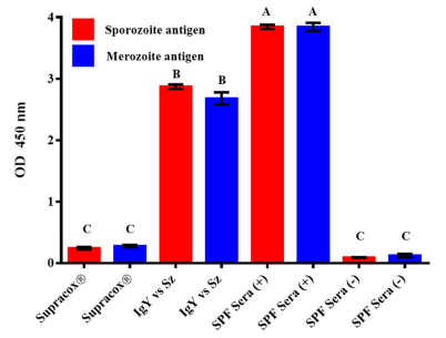 FIGURE 4 | Reactivity of the IgYs in Supracox®, polyclonal egg yolk IgYs from birds immunized with the whole E. tenella sporozoites (IgY vs. Sz), positive antisera [SPF Sera (+)], and negative sera [SPF Sera (–)] to sporozoite (Sz) and merozoite (Mz) antigens in ELISA. Sera from unimmunized SPF White Leghorn birds did not show any reactivity to sporozoite and merozoite antigens. Each bar represents the arithmetic mean ± standard deviation of absorbance units (O.D.) (n = 6) of two independent observations (sera at 1:100). Bars that are not denoted by the same letter (A–C) represent significantly different values (P < 0.05) according to Tukey’s multiple range test.